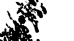 Shadow png pack - Image 5