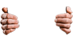 hand pack - Image 6