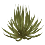 plants and trees png pack - Image 4
